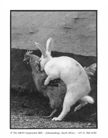 How Easter Eggs Are Made