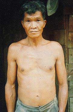 Utat Anak Merkol (photo: Antares)