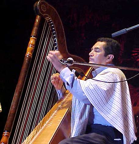 Master of the Mestizo Harp