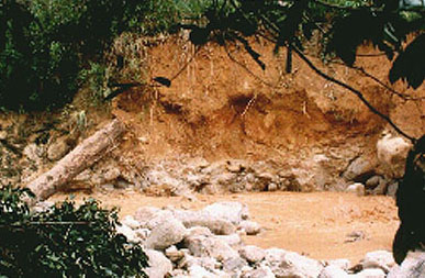 Logging-induced erosion,
            courtesy of JHEOA