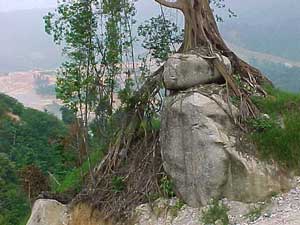 Isengard - where they tear up the trees by the roots (Antares)