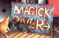 Mouse the Cat moves to Magick River but Underfoot decides to stay in Ampang! (pic by Antares)