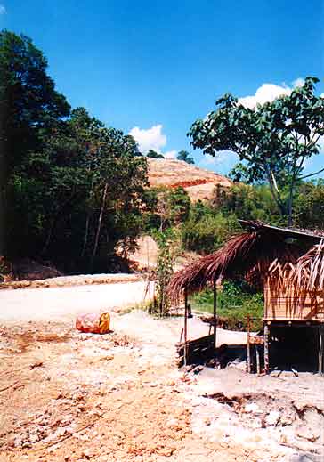 This Orang Asli hut will be a lakeside chalet when we're done!