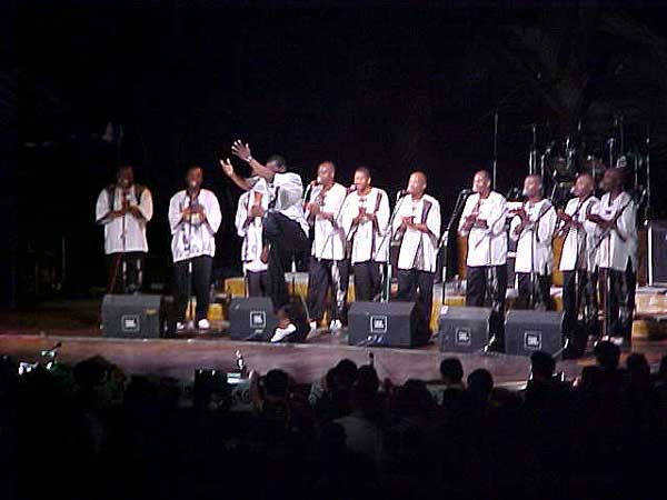 Black Umfolosi from Zimbabwe